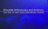 Shoulder Arthroscopy and Anatomy
