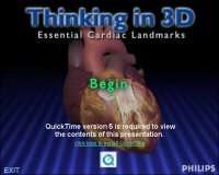 Thinking in 3D — Essential Cardiac landmarks
