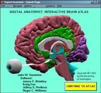 The Digital Anatomist: Interactive Brain Atlas