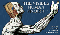 Visible Human Project — Male