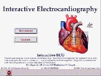 Interactive electrocardiography ecg
