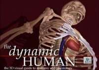 The Dynamic Human