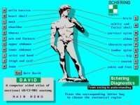 David, Atlas mri/ct/us anatomy, Schering diagnostics