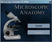 Microscopic  Anatomy