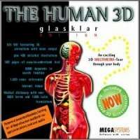 Glaskar Human 3D