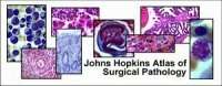 Johns Hopkins Atlas of surgical pathology