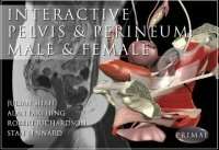 Interactive Pelvis and Perineum — Male and Female