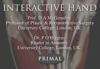 Interactive Hand — Anatomy