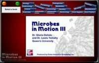 Microbes in Motion 3