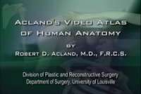 Aclands DVD Atlas — Human Anatomy — Upper Extremity