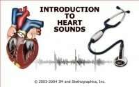 3M Littmann Sthethoscopes Introduction to heart sounds