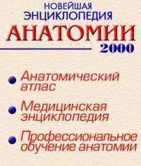 Энциклопедия Анатомии 2000