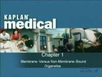 Kaplan Videos for USMLE Step 1 Preparation 2007 ( 3 DVD)