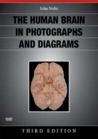 The Human Brain in Photographs and Diagrams 3 ed