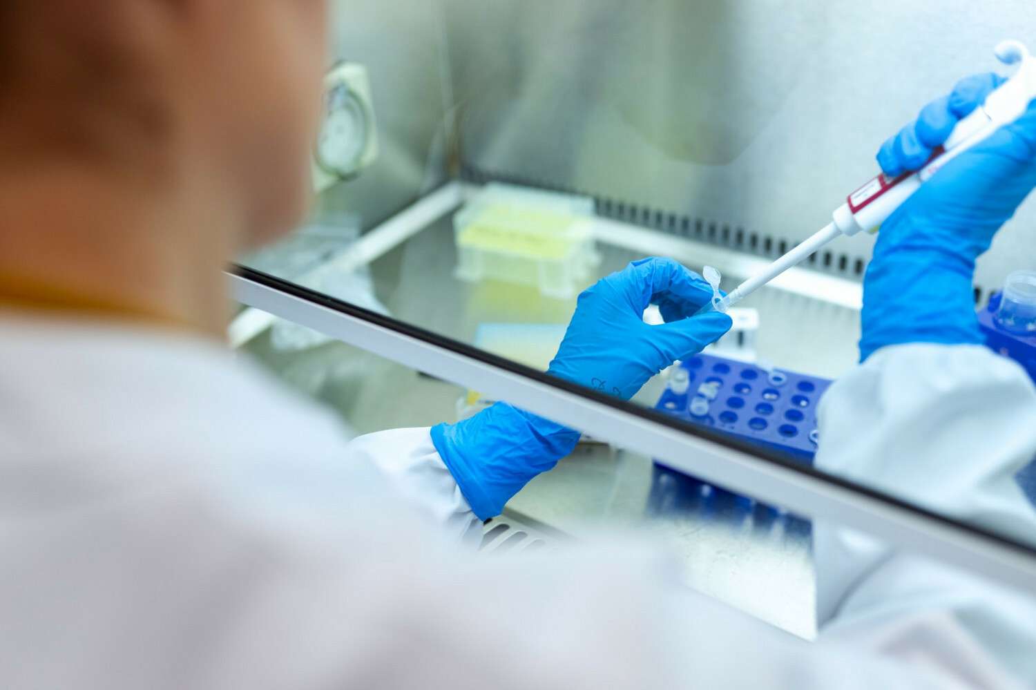 Novartis и Molecular Partners разработают препарат от COVID-19 на основе миметиков антител