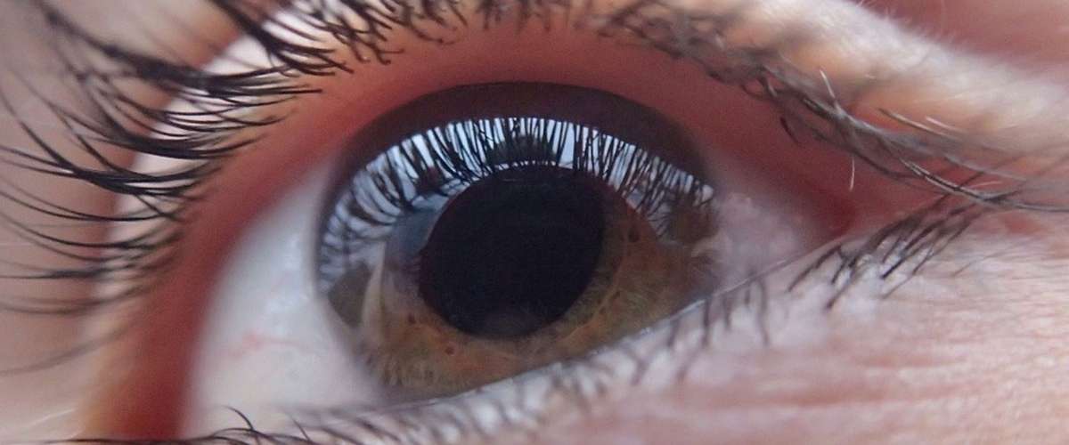 Поврежденный глазной нерв удалось заставить регенерировать. На очереди спинной мозг