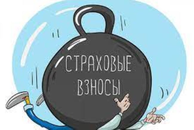 Правительство продлило сроки уплаты страховых взносов для производителей
