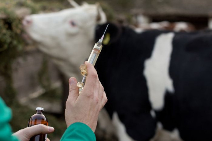 Россельхознадзор подготовил новый порядок ввода ветеринарных препаратов в гражданский оборот Россельхознадзор подготовил новый порядок ввода ветеринарных препаратов в гражданский оборот