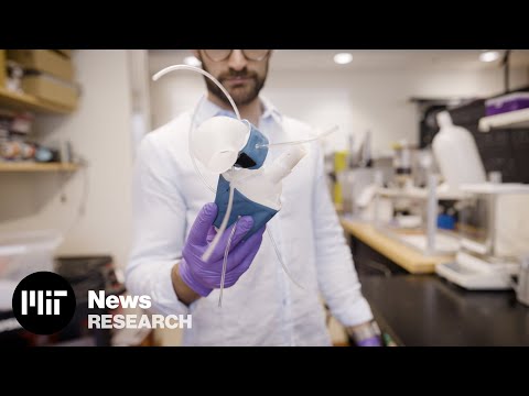 Инженеры научились распечатывать работающие копии сердец на 3D-принтере