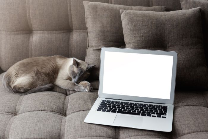 Поставщиков антисептика признали виновными в антиконкурентном соглашении во время пандемии