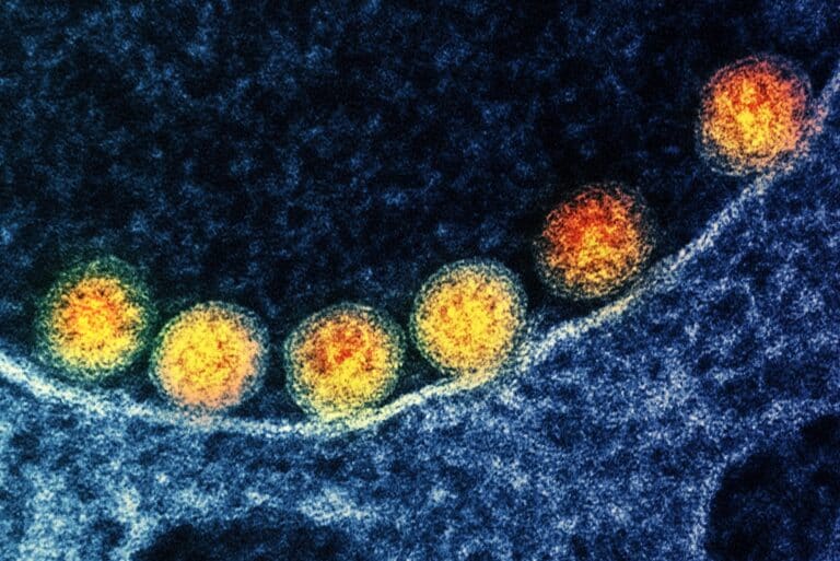 Вдыхаемый порошок защитит от вирусных инфекций Вдыхаемый порошок защитит от вирусных инфекций
