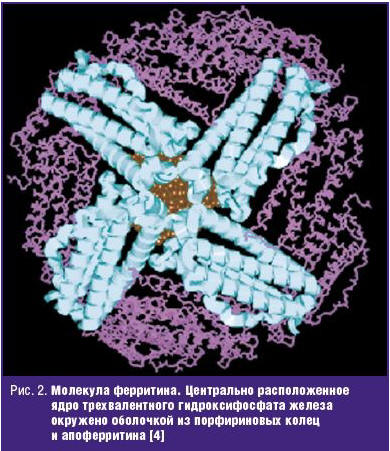 Противоопухолевые препараты «АстраЗенека» продемонстрировали значимое влияние на выживаемость у пациентов с резектабельным немелкоклеточным раком легкого в исследованиях ADAURA и AEGEAN